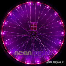 Load image into Gallery viewer, Wheel Lights Pink - Newport Cruisers
