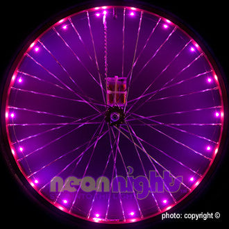 Wheel Lights Pink - Newport Cruisers