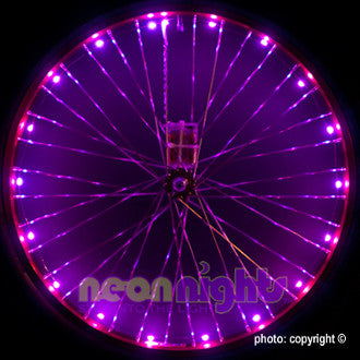 Wheel Lights Purple - Newport Cruisers